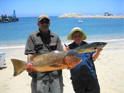 Dogtooth snapper / Bonito